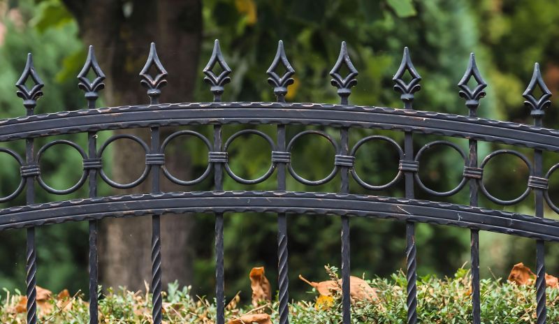 Ornamental Iron Fence Service detail